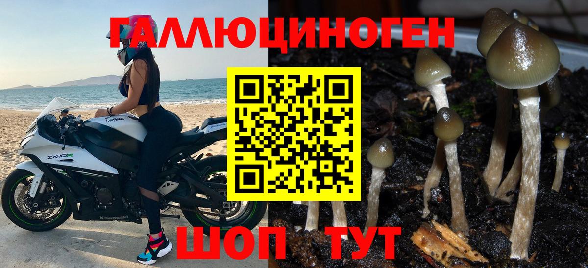 Отрадный  Псилоцибиновые грибы прущие грибы  Вход с VPN 